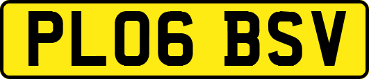 PL06BSV