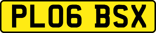 PL06BSX
