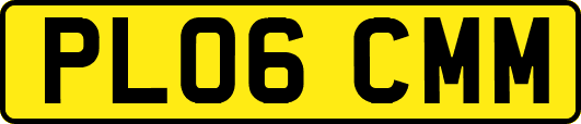 PL06CMM