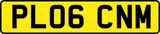 PL06CNM