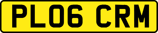 PL06CRM