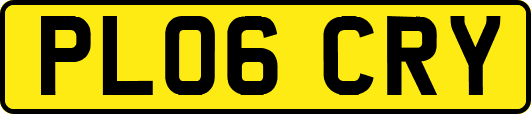 PL06CRY