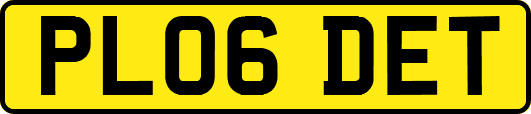 PL06DET