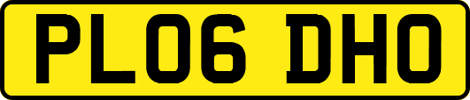 PL06DHO