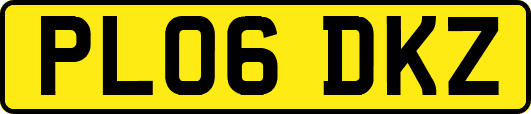 PL06DKZ