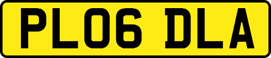 PL06DLA