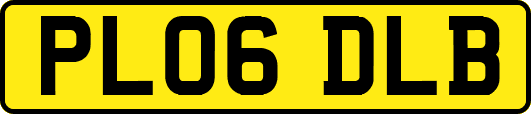 PL06DLB