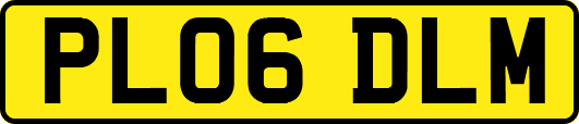PL06DLM