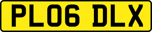 PL06DLX