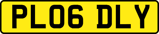 PL06DLY