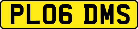 PL06DMS