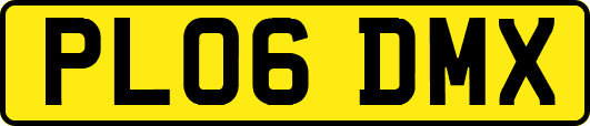 PL06DMX