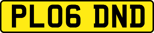 PL06DND
