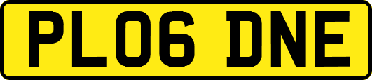 PL06DNE