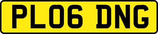 PL06DNG