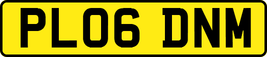 PL06DNM