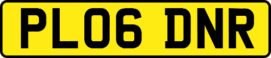 PL06DNR