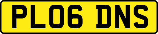 PL06DNS
