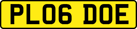 PL06DOE