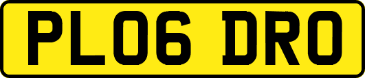 PL06DRO