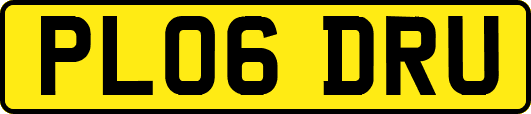 PL06DRU