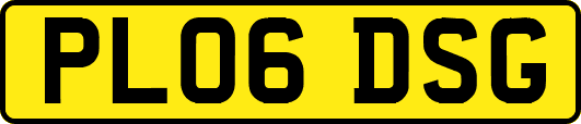 PL06DSG