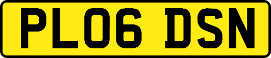 PL06DSN