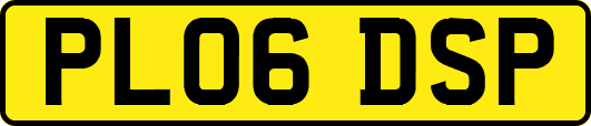 PL06DSP