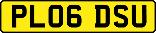 PL06DSU