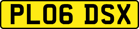 PL06DSX