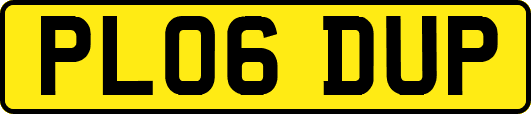 PL06DUP