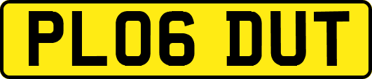 PL06DUT