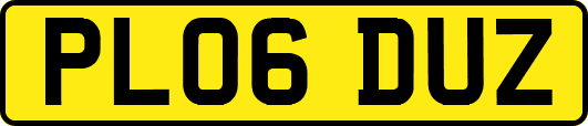 PL06DUZ