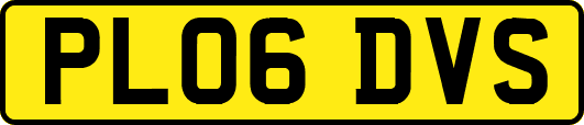 PL06DVS