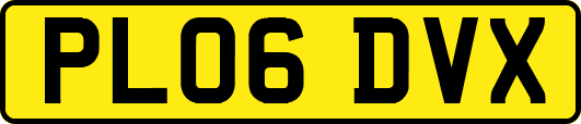PL06DVX