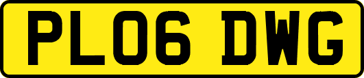 PL06DWG
