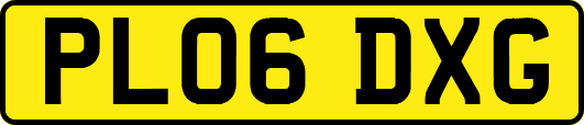 PL06DXG