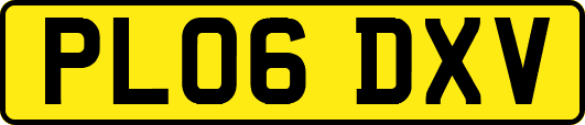 PL06DXV