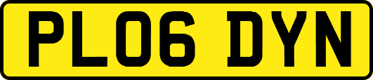 PL06DYN