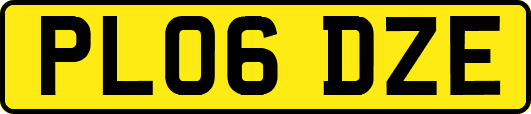 PL06DZE