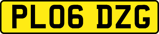 PL06DZG