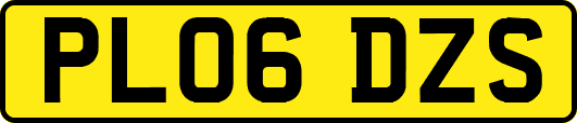 PL06DZS