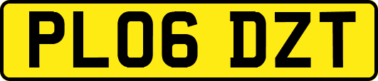PL06DZT
