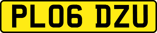 PL06DZU