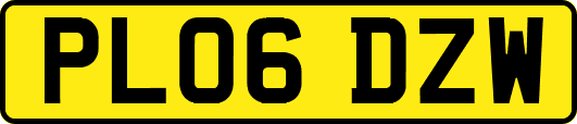 PL06DZW