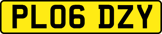 PL06DZY