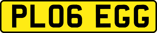 PL06EGG