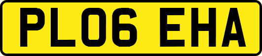 PL06EHA