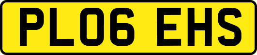 PL06EHS
