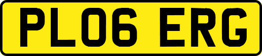 PL06ERG